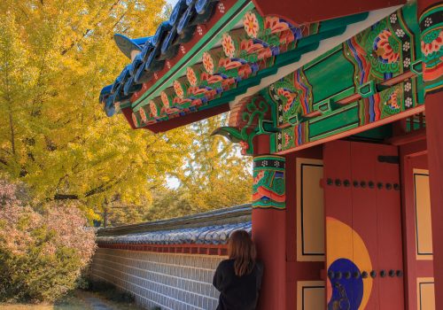 A student leaning against the wall of a traditional style building in Korea