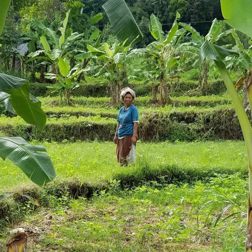 A woman standing in a field of crops and smiling.