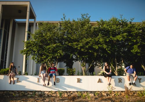 A group of students sitting outside UNC Asheville's Ramsey Library