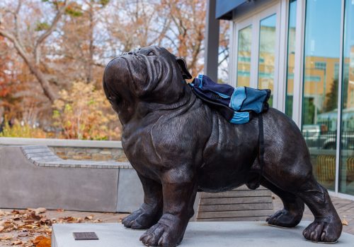 Rocky the Bulldog statue